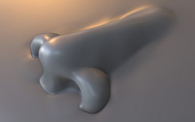 25/26 – BLENDER – Phase 02